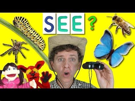 dr jean goodbye song|dr jean insect song.